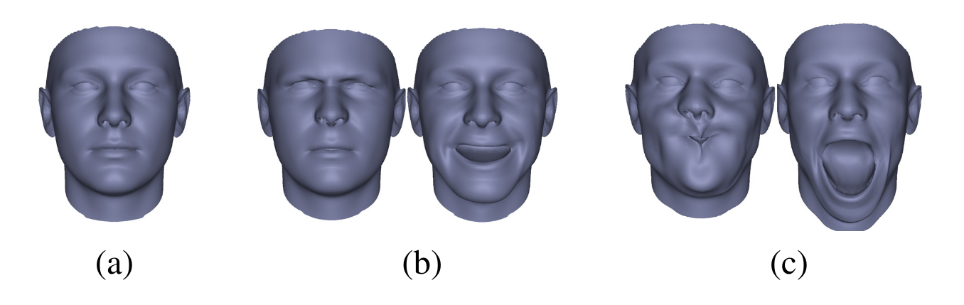 State of the Art on Monocular 3D Face Reconstruction, Tracking, and ...